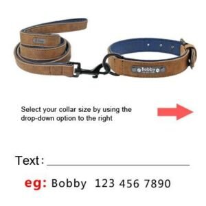Correa y collar de cuero con etiqueta para nombre de mascota, collares para perros personalizados, con enganches de plomo, para perros pequeños, medianos y grandes, pitbull, bulldog