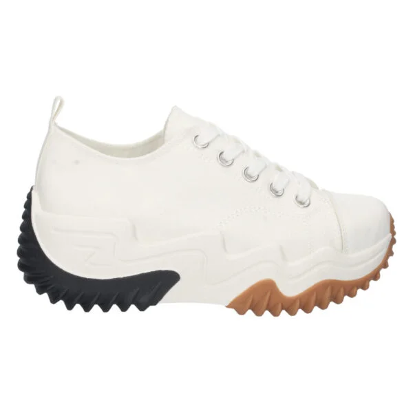 Zapatos, zapatillas,Con diferentes diseños ,productos De fabricación nacional - Imagen 2