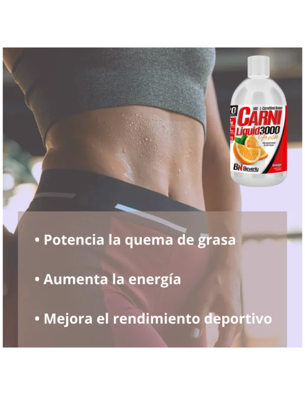 Carni Liquid 3000 Naranja. Carnitina sabor Naranja | 500 ml - Imagen 4