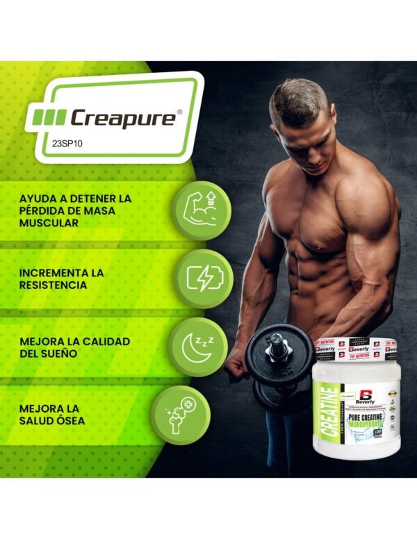 Creapure® Creatina | Creapure 300 gramos | Sin sabor | Sello oficial | Recuperación muscular | Shaker Gratis - Imagen 5