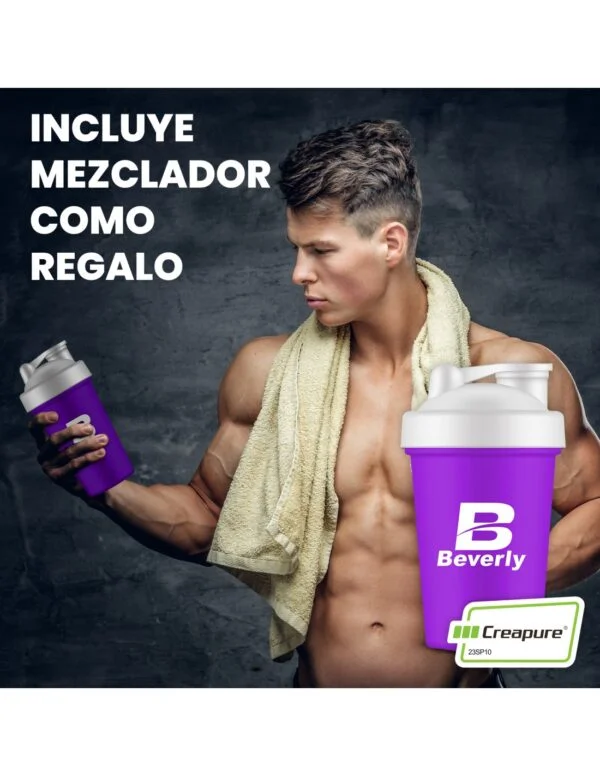 CREATINE (Creapure®) 300g - Imagen 8