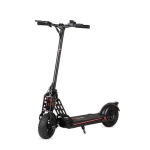 Patinete eléctrico 600W Bison urbano y potente