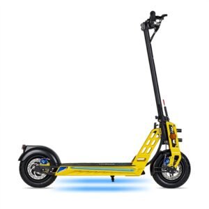 Patinete eléctrico 800W Bison urbano y potente