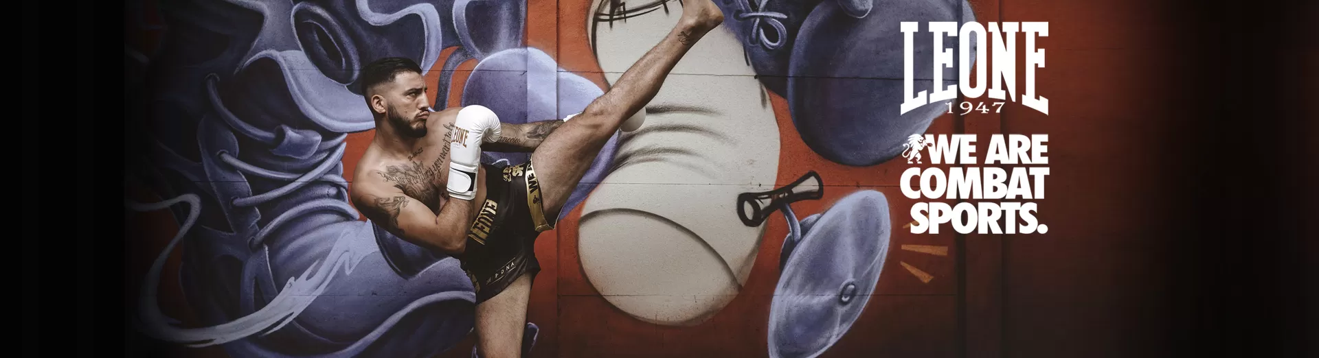 Productos leone espinilleras guantes cascos todo para las artes marciales