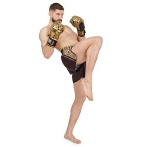 Guantes de Boxeo HAKA GN329