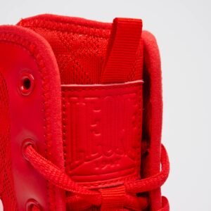 Bota de boxeo PROFESSIONAL negro/037