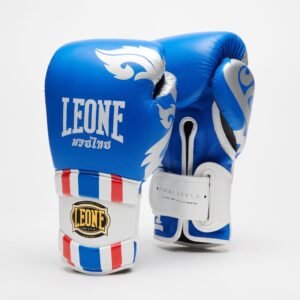 Guantes de Boxeo THAI STYLE