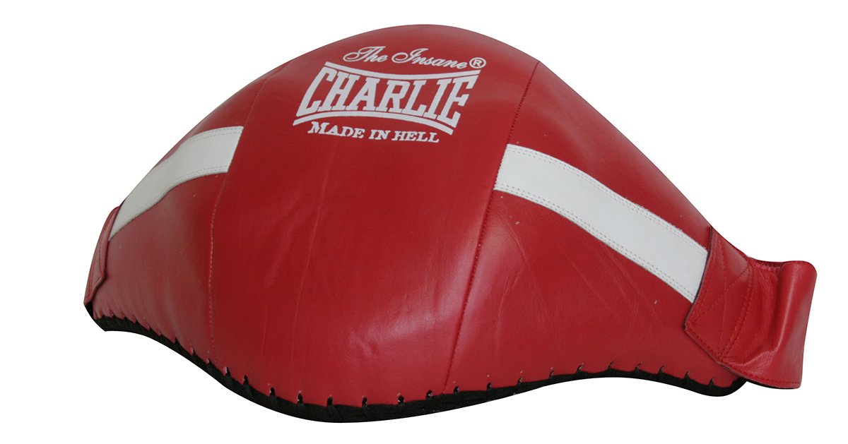 PROTECTOR VENTRAL - Artes Marciales - Homo.cat
