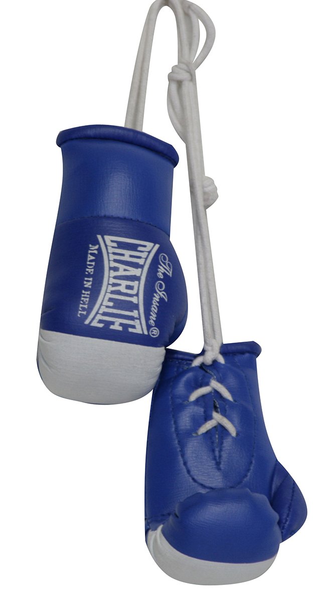 GUANTECITO AMATEUR - Boxeo - Homo.cat