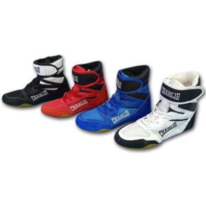 BOTIN RING PRO