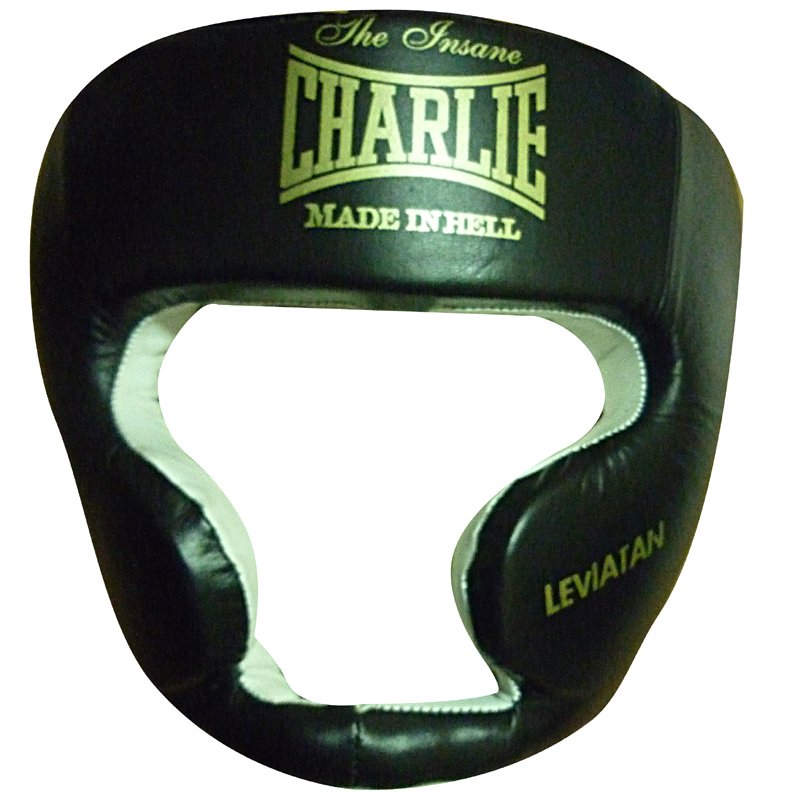 CASCO LEVIATÁN X - Protecciones - Homo.cat