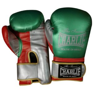 Guantes de Velcro New Mex - Boxeo - Homo.cat