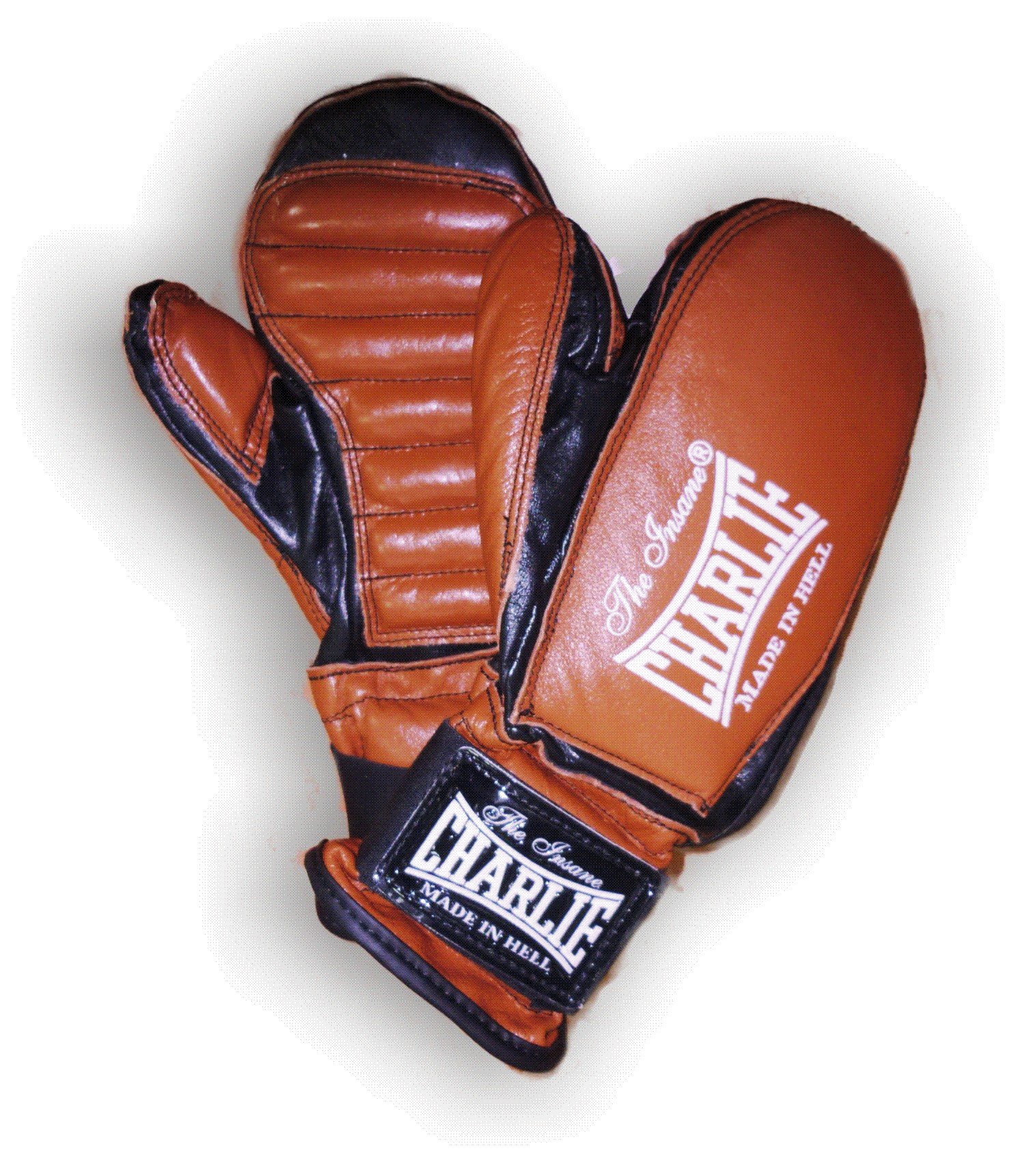 GUANTELETA - Artes Marciales - Homo.cat
