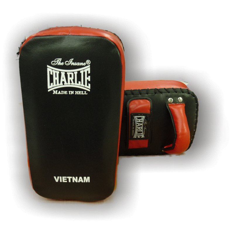 PAO VIETNAM - Artes Marciales - Homo.cat