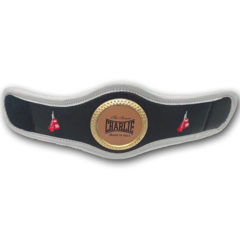 MINI CHAMPION BELT - Ropa Artes Marciales - Homo.cat