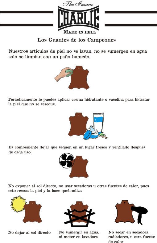 Cuidado de los artículos de piel - Boxeo - Homo.cat